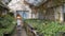 greenhouse with growing plants for garden and home, female botanist walking in aisle