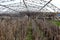 Greenhouse for growing vegetables. Abandoned nobody needed greenhouse of industrial capital. Destroyed agriculture, economic