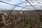 Greenhouse for growing vegetables. Abandoned nobody needed greenhouse of industrial capital. Destroyed agriculture, economic