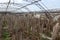 Greenhouse for growing vegetables. Abandoned nobody needed greenhouse of industrial capital. Destroyed agriculture, economic