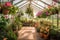 greenhouse with hanging baskets and trailing plants, for tranquil and serene setting