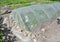 Greenhouse Hotbed for vegetable seedlings in the spring.  Handmade Greenhouse in garden