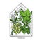 Greenhouse illustration on white background. flower house. Winter Garden. Gardening and truck farming concept. Exotic houseplant