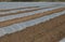 Greenhouse lines for growing crops