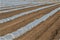 Greenhouse lines for growing crops