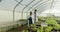 Greenhouse, man and woman with a tablet, conversation and farmer with agriculture inspection, teamwork and food