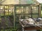 Greenhouse and a messy table