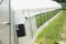 Greenhouse with microclimate control.
