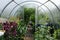 Greenhouse with place for growing vegetables, flowers and seasoning. Hothouse with transparent walls, inner view.