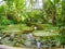 Greenhouse plants in garden tete d or Parc de la Tete d`Or in Lyon, France, pink water lilas, lotus. garden named by Gold Head