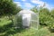 Greenhouse polycarbonate in a private garden