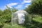 Greenhouse polycarbonate in a private garden