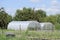 Greenhouse polycarbonate in a private garden