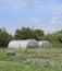 Greenhouse polycarbonate in a private garden