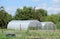 Greenhouse polycarbonate in a private garden