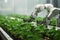 Greenhouse robotics Automated farming thrives as smart arms tend to plant growth