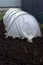 Greenhouse for seedlings on a dug up plot of land