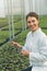 Greenhouse Seedlings Growth. Female Agricultural Engineer