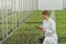 Greenhouse Seedlings Growth. Female Agricultural Engineer