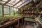 greenhouse with shelves of plants and tools for gardening