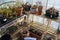 Greenhouse shelves with pots of different plants