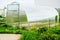 Greenhouse on a small farm with plants in spring. Greenhouse on the plot. Private garden