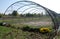 Greenhouse Tunnel