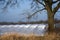 Greenhouse tunnel from polythene plastic under a tree on an agricultural field, blue sky, copy space,