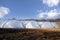 Greenhouse tunnels made of polythene plastic in a row on an agricultural field, rural landscape with blue sky and white clouds, c