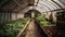 Greenhouse with Variety of Organic Vegetables