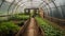 Greenhouse with Variety of Organic Vegetables