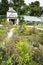 Greenhouse with various flowering plants and cacti in orangery,