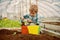 Greenhouse worker. small boy greenhouse worker. greenhouse worker planting flowers. greenhouse worker little boy care