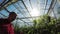 Greenhouse worker watering plants 4k