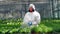 Greenhouse worker waters plants in pots.