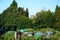 Greenhouses on allotments, UK.