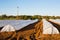 Greenhouses in country garden in spring