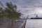 Greening the pier with trees and twilight on the beach in the city of Ã…rhus