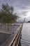 Greening the pier with trees and twilight on the beach in the city of Ã…rhus