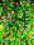 The greenish background or pattern of small squares.