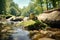 A greenish-brown frog perched on a mossy rock in a serene stream