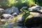 A greenish-brown frog perched on a mossy rock in a serene stream