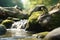 A greenish-brown frog perched on a mossy rock in a serene stream