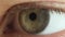 Greenish male eye macro shot, different emotions, looks around. Eyelashes