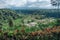 Greenish rice fields with lines on bali