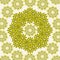 Greenish yellow rotating flower pattern