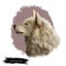 Greenland Dog, Esquimaux dog digital art illustration isolated on white background. Greenland origin working dog, northern breed.