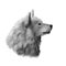 Greenland Dog, Esquimaux dog digital art illustration isolated on white background. Greenland origin working dog, northern breed.