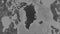 Greenland outlined. Grayscale