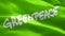 Greenpeace flag video. National 3d Eco organization logo Slow Motion video. Greenpeace Flag Blowing Close Up. Eco organization Fla